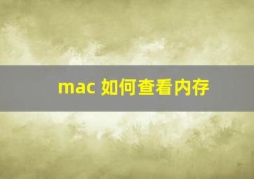 mac 如何查看内存